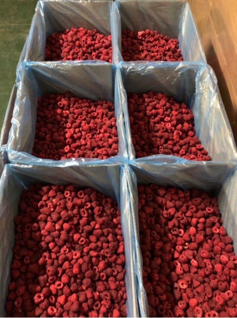 Na ofertie na stanie mamy Malina grys ,pakowana w workach po 25 kg cena 3.6€ Malina 80/20,pakowana po 10kg,cena 3.9€ Malina 95/5,pakowana po 10kg(2.5*4) cena