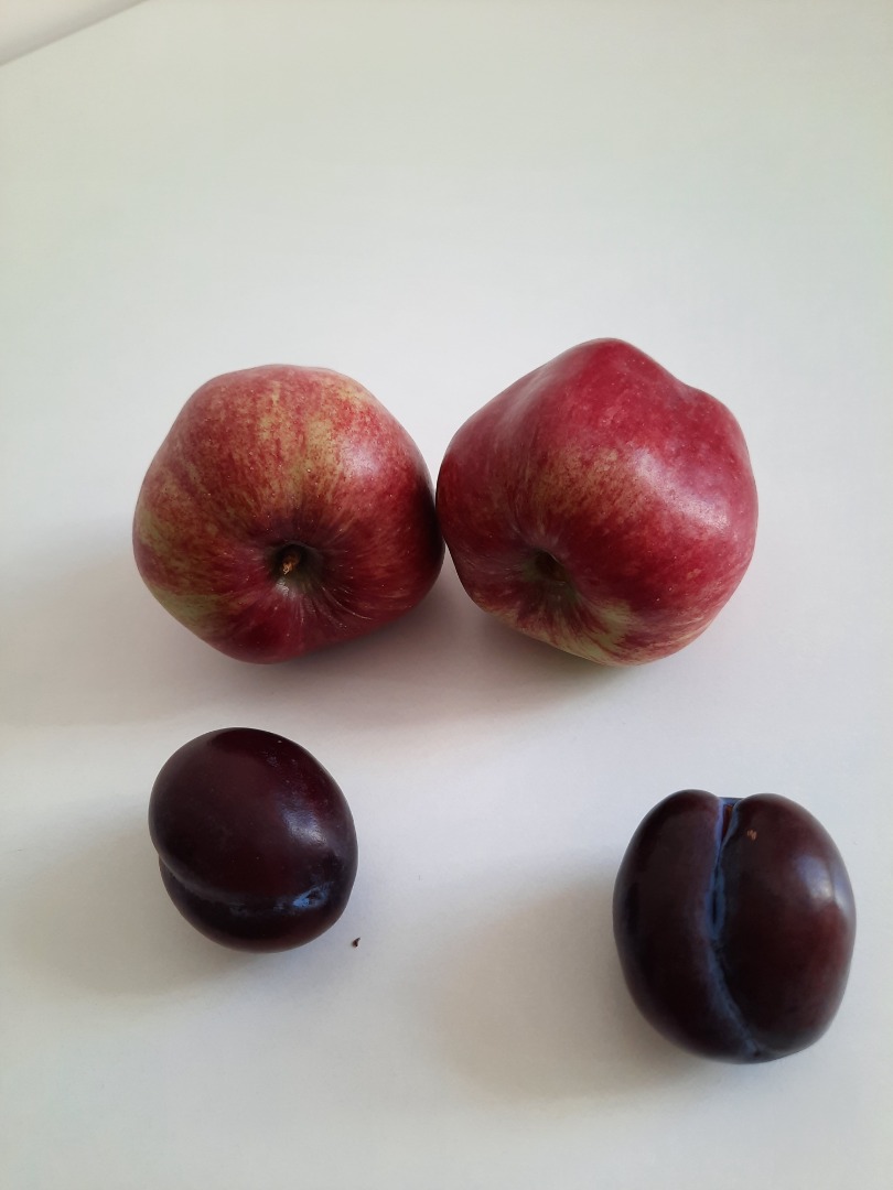 Sprzedam piękne owoce prosto z sadu zrywane posiadam na sprzedaż każdą ilość :) Wiecej informacji udziele telefonicznie albo w wiadomosci :) Odmiana jabłek
