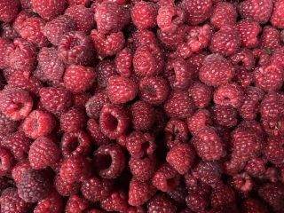 Odmiana: Mix/Polka 90/10 - 4.3 Euro 80/20 - 4.20