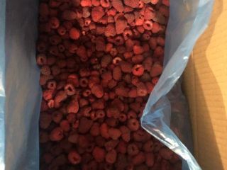 Malina semi-produkt (original) mrożona ,po 10 kg ,cena 4.2€