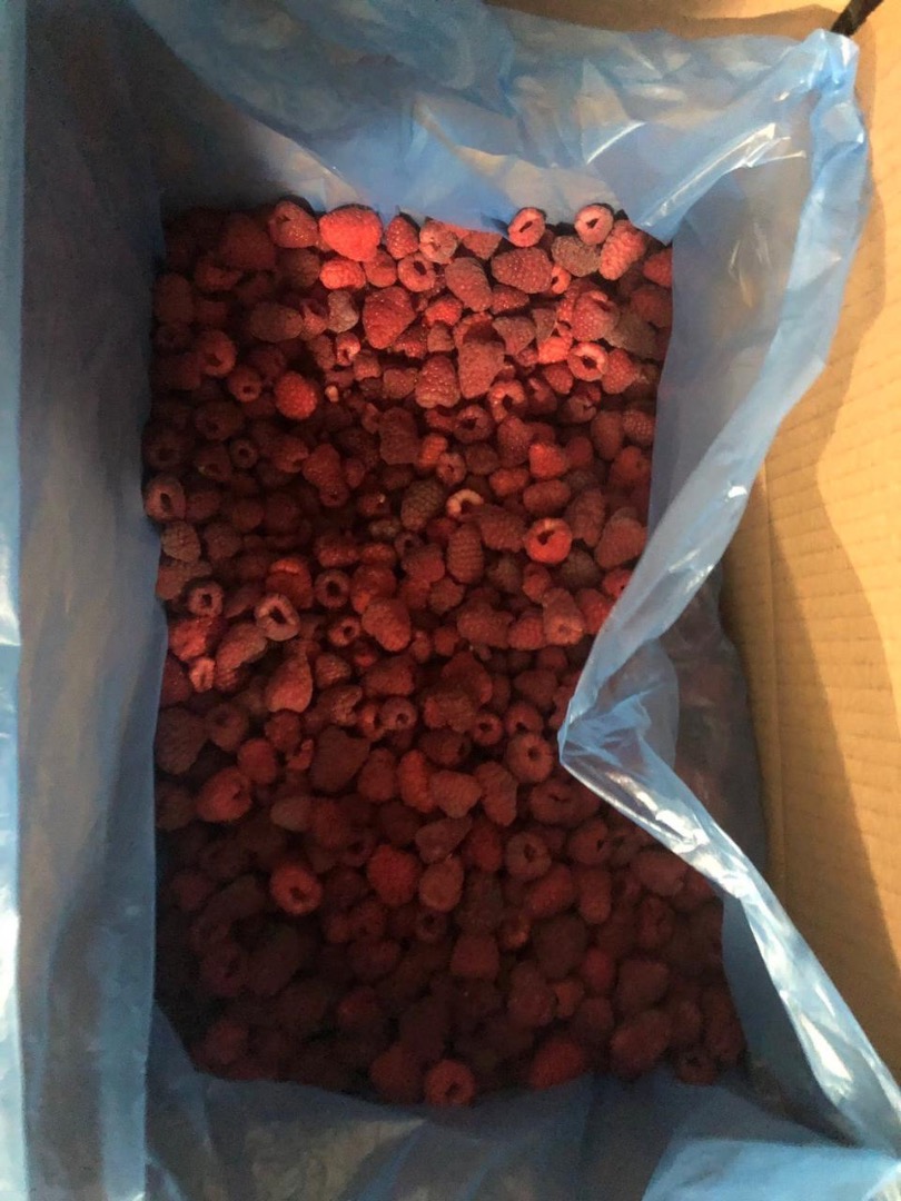 Malina semi-produkt (original) mrożona ,po 10 kg ,cena 4.2€