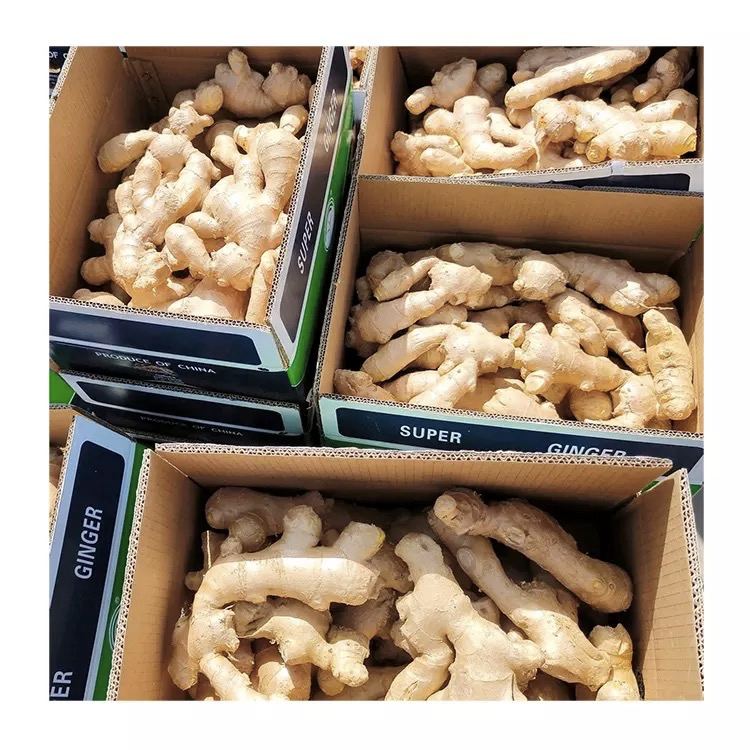 Szybkie szczegóły Styl: świeży, organiczny Rodzaj: imbir Odmiana: imbir Rodzaj uprawy: organiczny Waga (kg): 10 Miejsce pochodzenia: Kenia Numer modelu: imbir