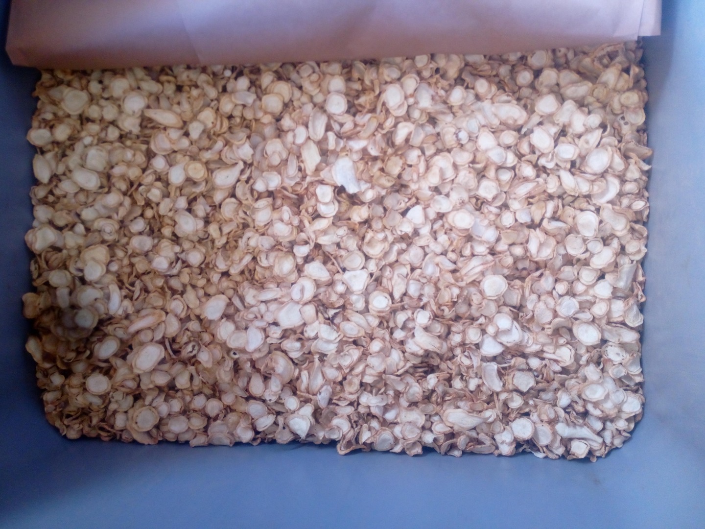 Sprzedam suszony plaster korzenia pietruszki