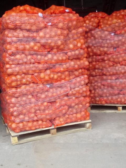 Kupuję cebulę