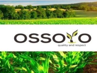 Firma handlowa "Ossoyo" sprzedaje pszenicę, słonecznik, jęczmień, rzepak i