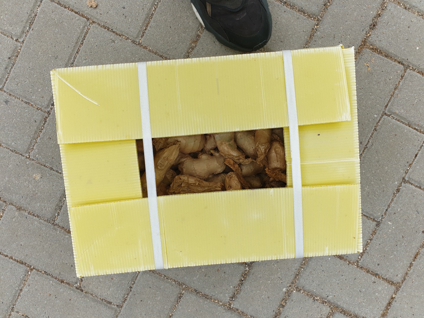 LUBIĘ SPRZEDAM BARDZO SZYBKO LUB PAKOWANE W KARTONY 12,5 KG lub nawet jedną TIR Continental