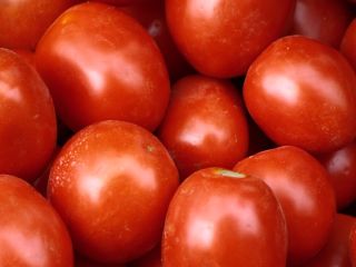 Pomidory polne, idealne na przetwory