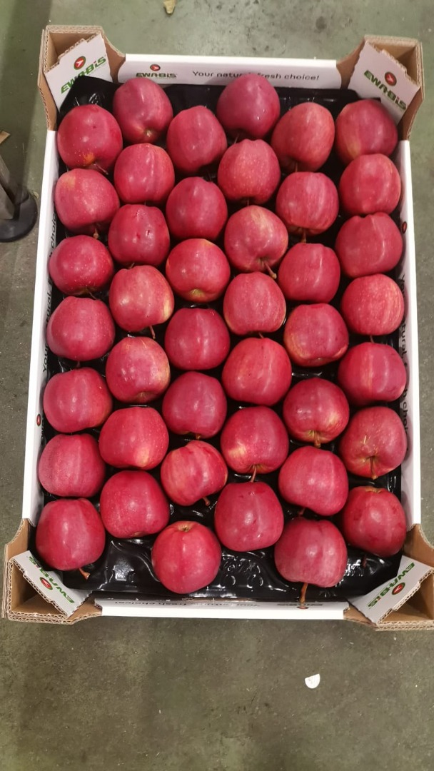 Dobry dzień