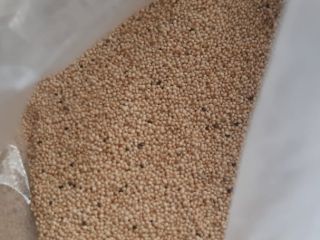 Ziarna amarantu, 400 ton, 50 kg \ worek