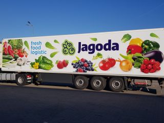 Firma ogrodniczo-handlowa Jagoda z Kalisza sprzeda małe i duże