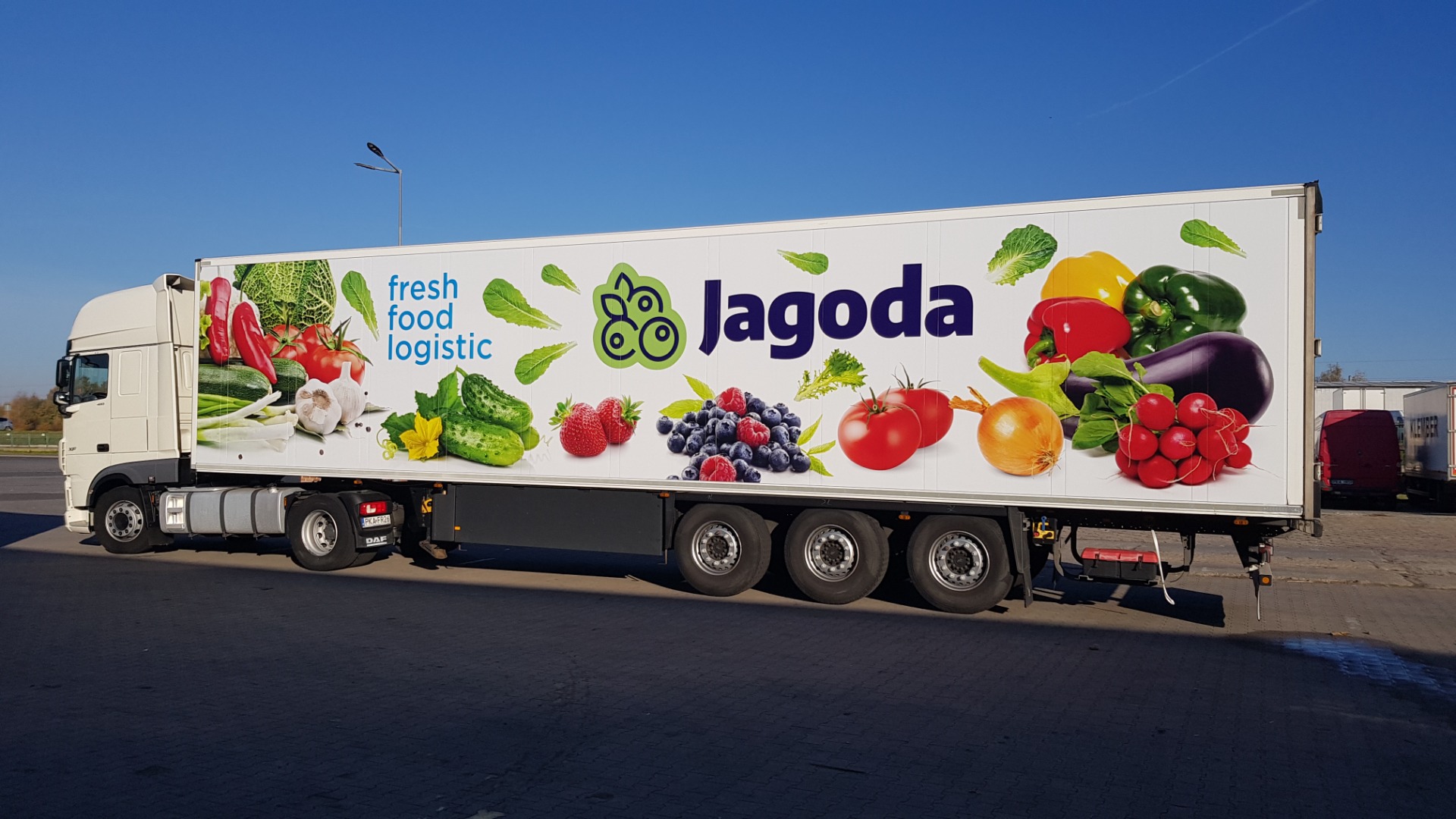 Firma ogrodniczo-handlowa Jagoda z Kalisza sprzeda małe i duże ilości ogórka gruntowego , szklarniowego , pomidora malinowego i czerwonego .Produkty Polskie