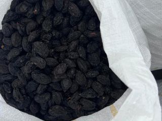 Sprzedam śliwki Anaspan z pestkami i bez
