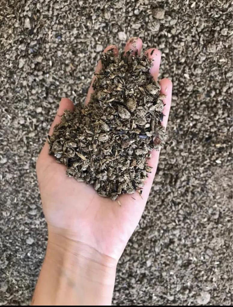 SROT SUNFLOWER pakowany: worki 40kg lub 1 do big baga