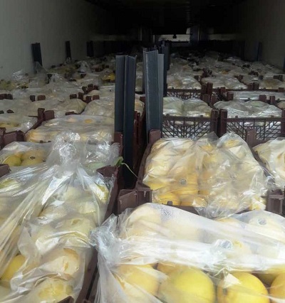 Biorąc pod uwagę możliwości naszego drogiego kraju Iranu, Lemona 1 Group postanowiła produkować, dostarczać, wprowadzać na rynek i sprzedawać limonki i