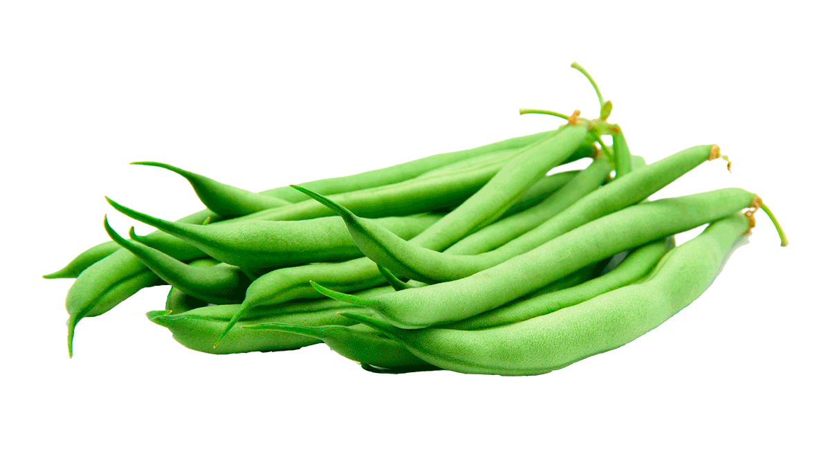 świeża zielona fasola z Egiptu Odmiany: Paulista - Bronco - Valentino - Hama Fasola Odmiany: Bobby Beans - Fine Beans - Helda Beans - Extra Fine Beans