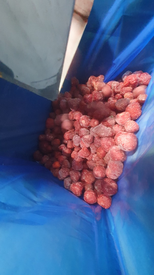 Sprzedam truskawki ZENGA ZENGANA Pakowanie 1/11 w woreczki foliowe w kartonie 90/10 jakość 21.000 kg