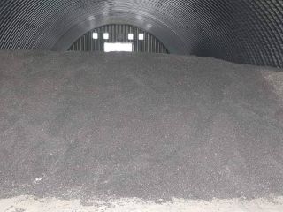 Słoneczniki Dostępne od zaraz, składowane na Słowacji. Zbiory 2021