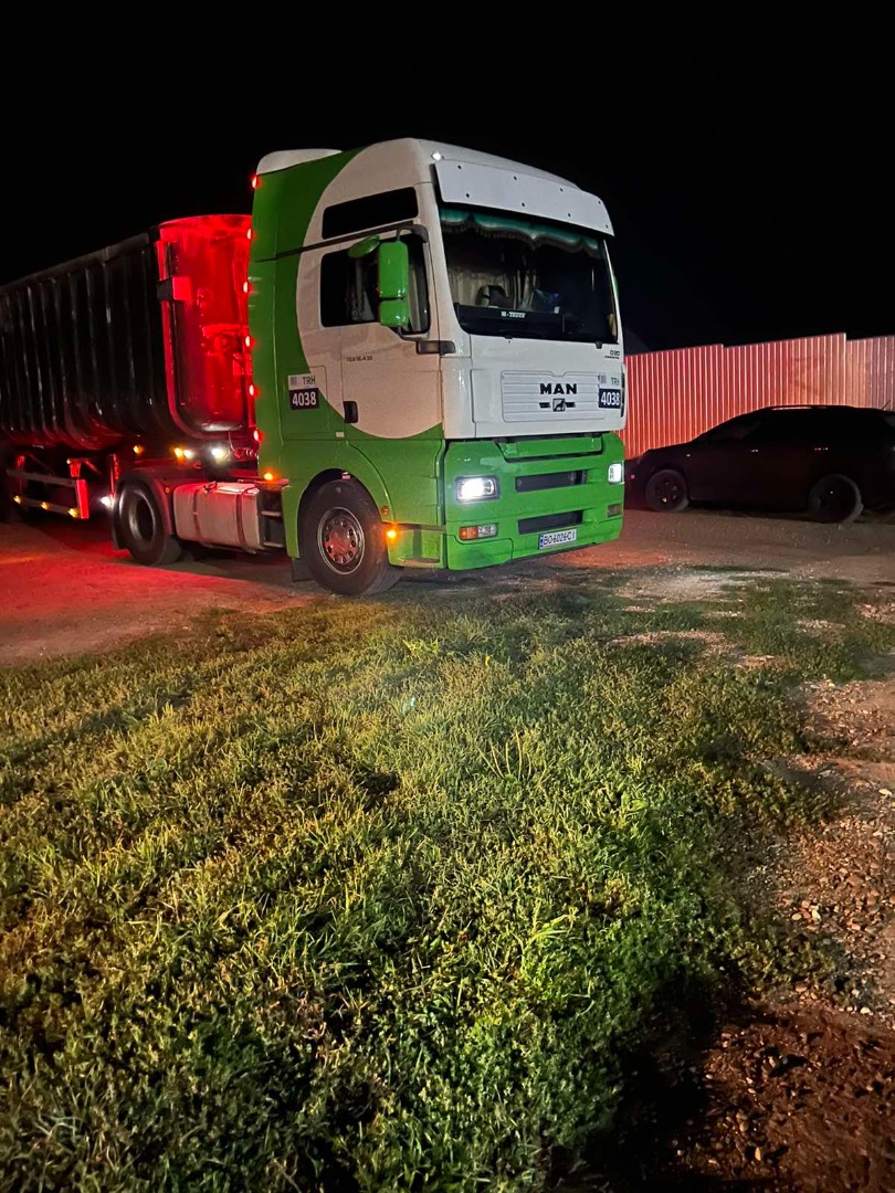 SOJA Glicyna max L