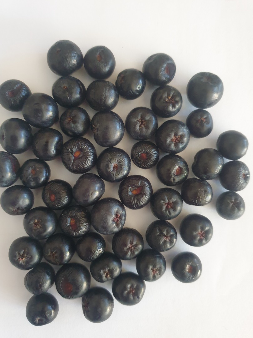 FRUCTE ARONIA SUPER PROASPETE SI NATURALE DIN PLANTATIE LA PRET DE PRODUCTOR ,SANTATE SI PURITATE VA ASTEPTAM DETALII DE CONTACT / SAU email