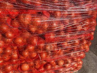 Sprzedam cebulę 22000 kg. Pochodzenie Turcja. Worki do pakowania