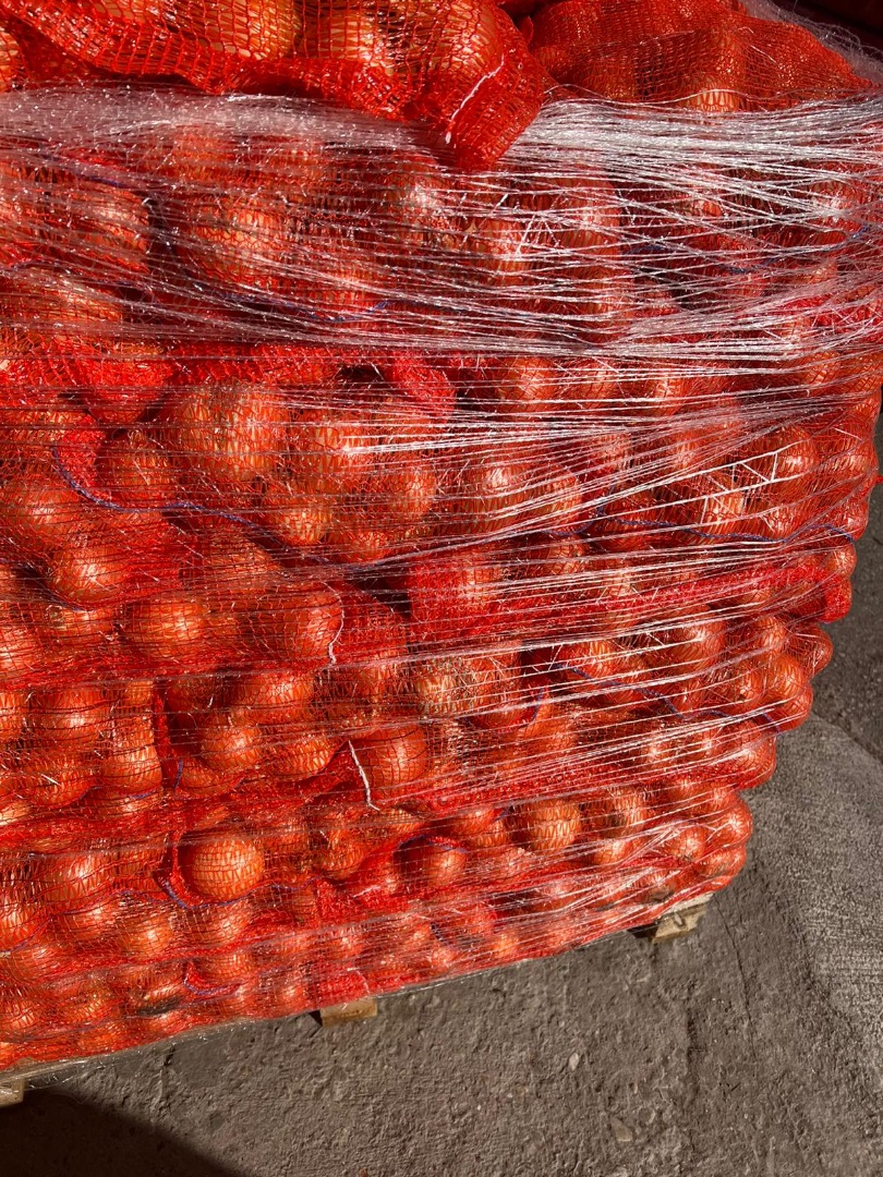 Sprzedam cebulę 22000 kg