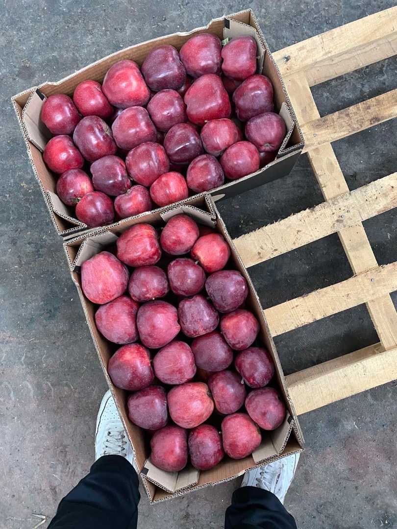 Apple wszystkie odmiany: red delicious, grenny smith, mutsu, idared, gold delicious, jonagold