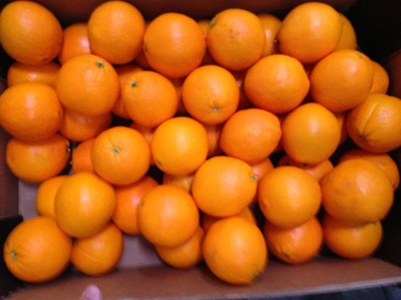 pomarancze navelina bezposrednio od wlascicieli bez posrednikow woskowane kalibrowane 3-5 bezpestkowe opakowania 15 kg skrzynki plastikowe lub drewnianie zakup