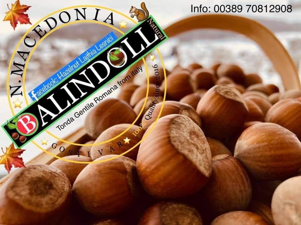 Tomda Gentile Romana orzechy laskowe