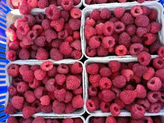 Sprzedam maliny z własnej plantacji ekologiczne słodkie zbiór na