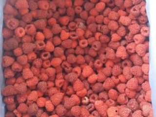Malina mrożona pakowana w kartony 8-10 kg Klasa I
