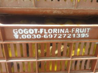 FIA-GOGOT-FRUIT oferuje Państwu produkty wysokiej jakości w cenie producenta,