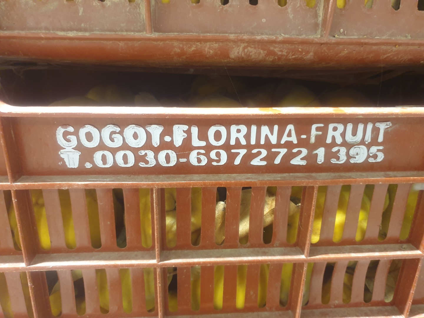 FIA-GOGOT-FRUIT oferuje Państwu produkty wysokiej jakości w cenie producenta, posiadamy pigwy w sezonie i są one selekcjonowane według wymagań klienta i