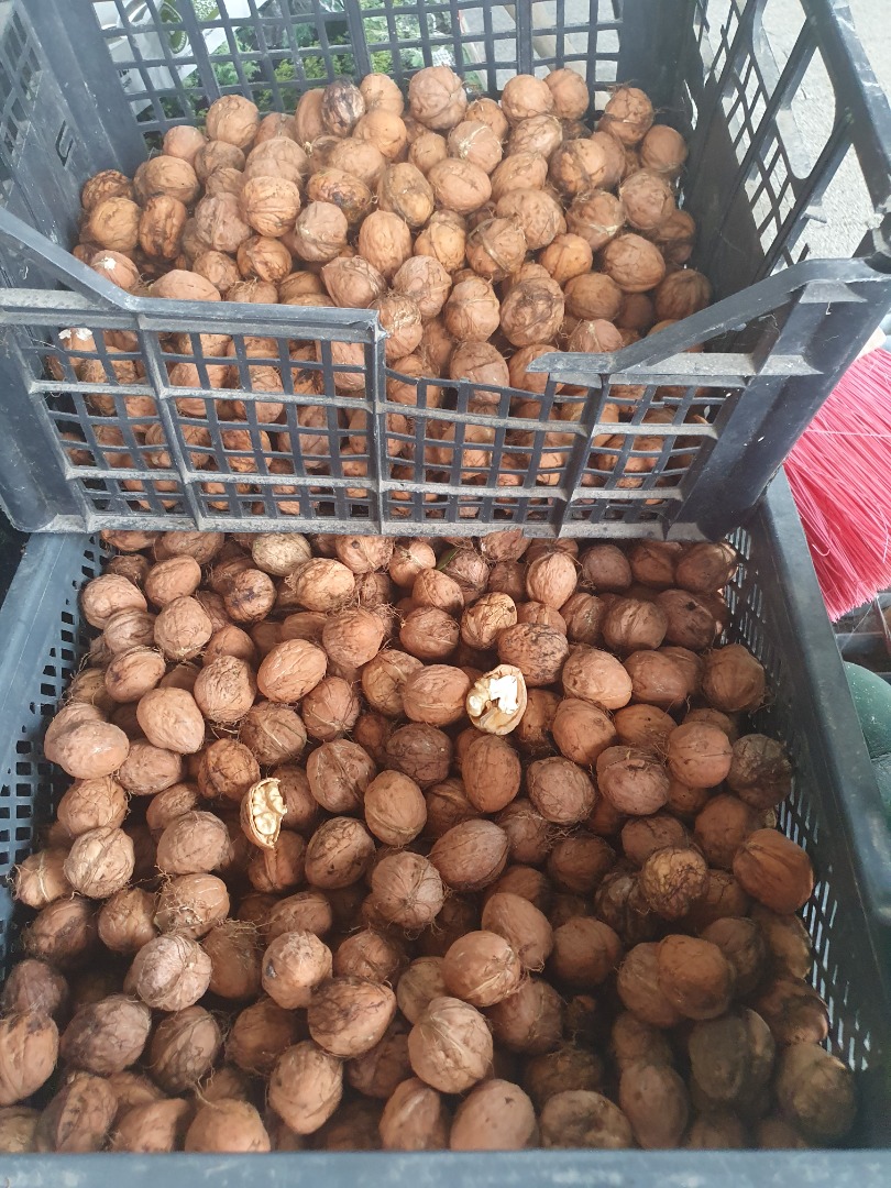 Miękka łupinka b.smaczne ,podsuszane lub mokre.Zapraszam
