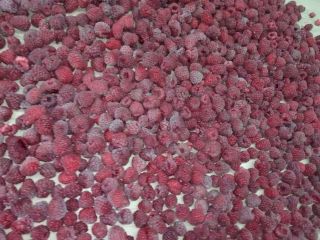 Sprzedam malinę Vilamet.Doskonała jakość.Opakowanie 10-12 kg