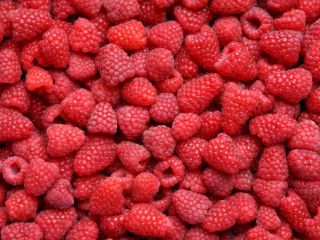 Maliny odmiany Vilamet, rocznik 2022, extra jakość, oryginalne, pakowane