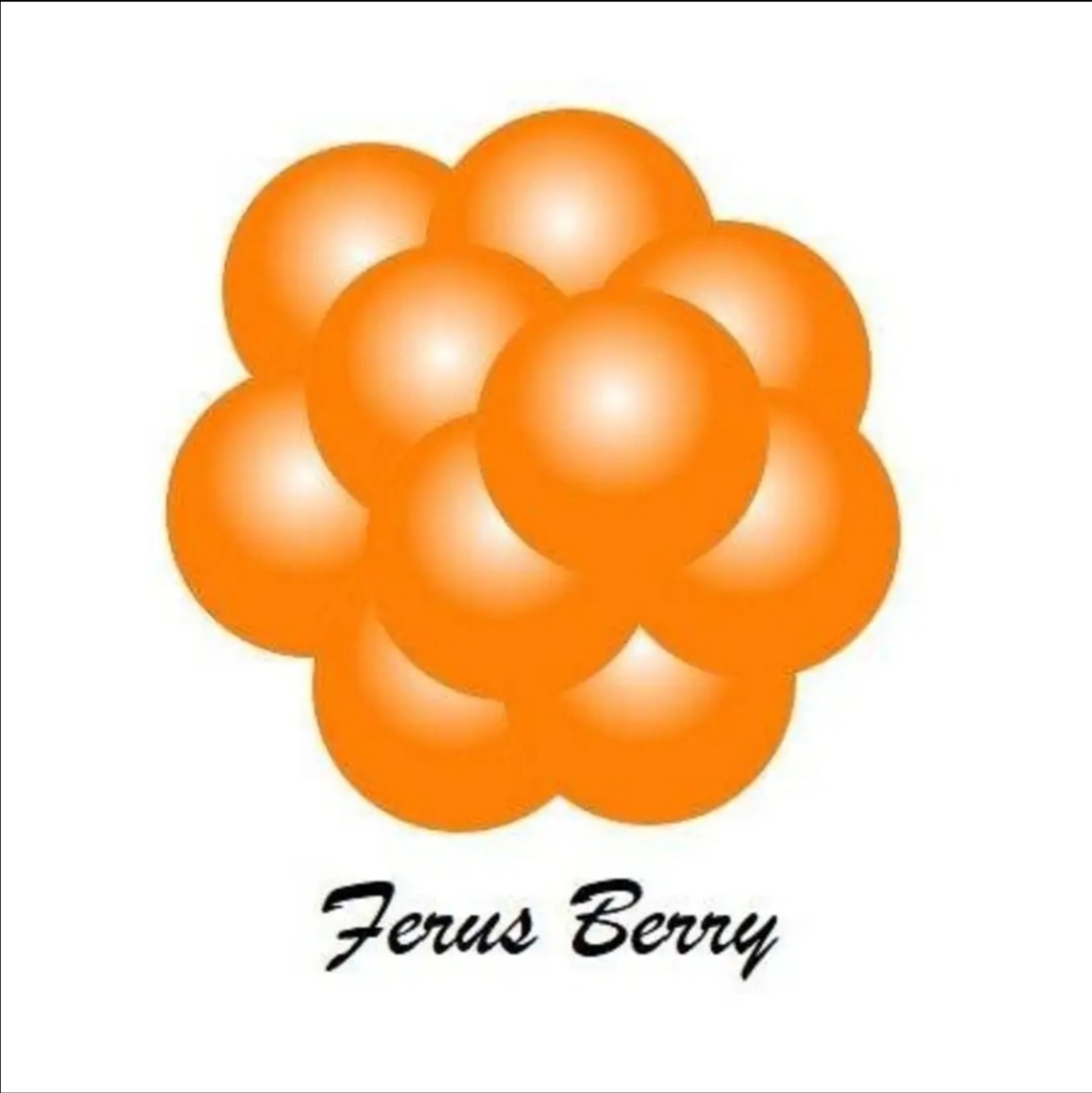 Sprzedajemy jagody i borówki