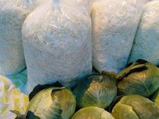Sprzedam kapustę szatkowaną do kiszenia. Szatkowaną pod zamówienia. Bardzo