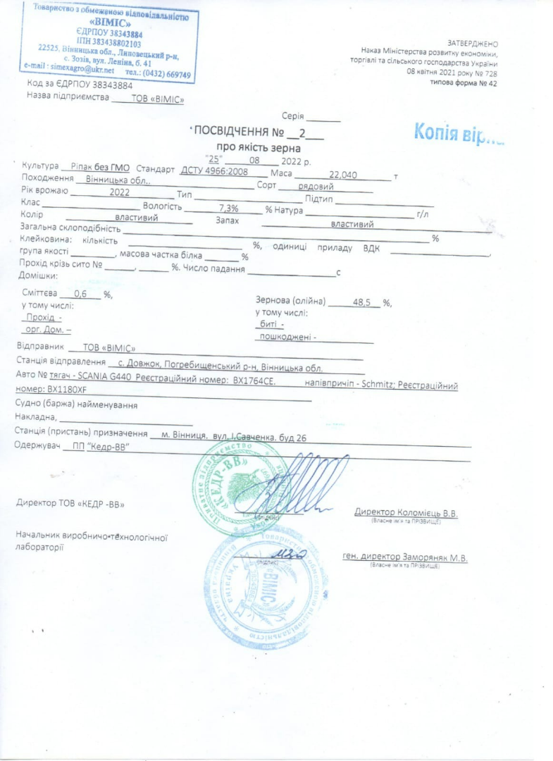 Sprzedam Rzepak 600 ton tygodniowo KODI TEAM Sp.zo.o