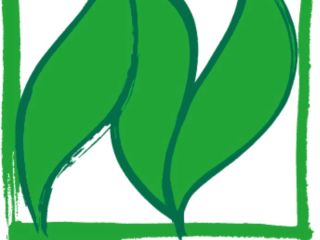 Sprzedam orkisz Naturland w Limburg ad Lahn Orkisz możemy