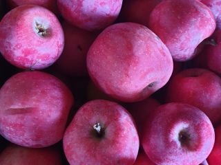 Sprzedam jabłka odmiany florina/idared, konsumpcyjne, zbierane ręcznie, cena 0,4€/kg,