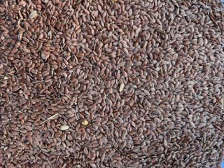 Sprzedam brązowe siemię lniane. Pochodzenie Kazachstan, opakowanie big bag