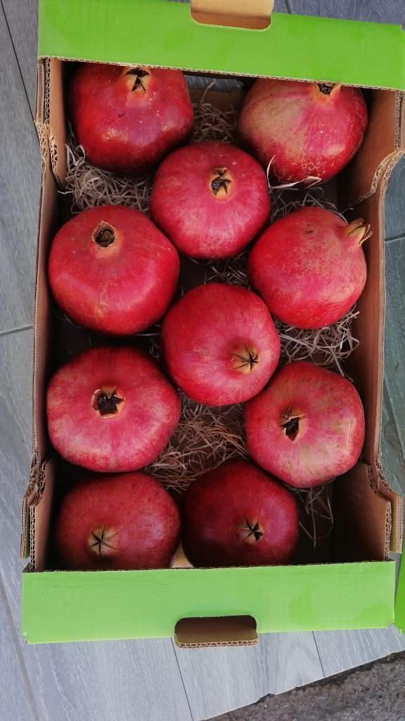 Dostarczę bezpośrednio od producenta świeże ekologiczne granaty bardzo smaczne i soczyste