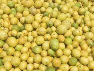 Kupimy cytrynę, pomarańczę, mandarynkę, limonkę, grejpfruta czerwonego, II -