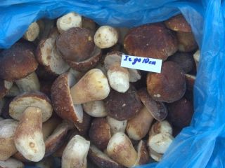 Sprzedam na warunkach FCA, DAP Extra - 15 euro