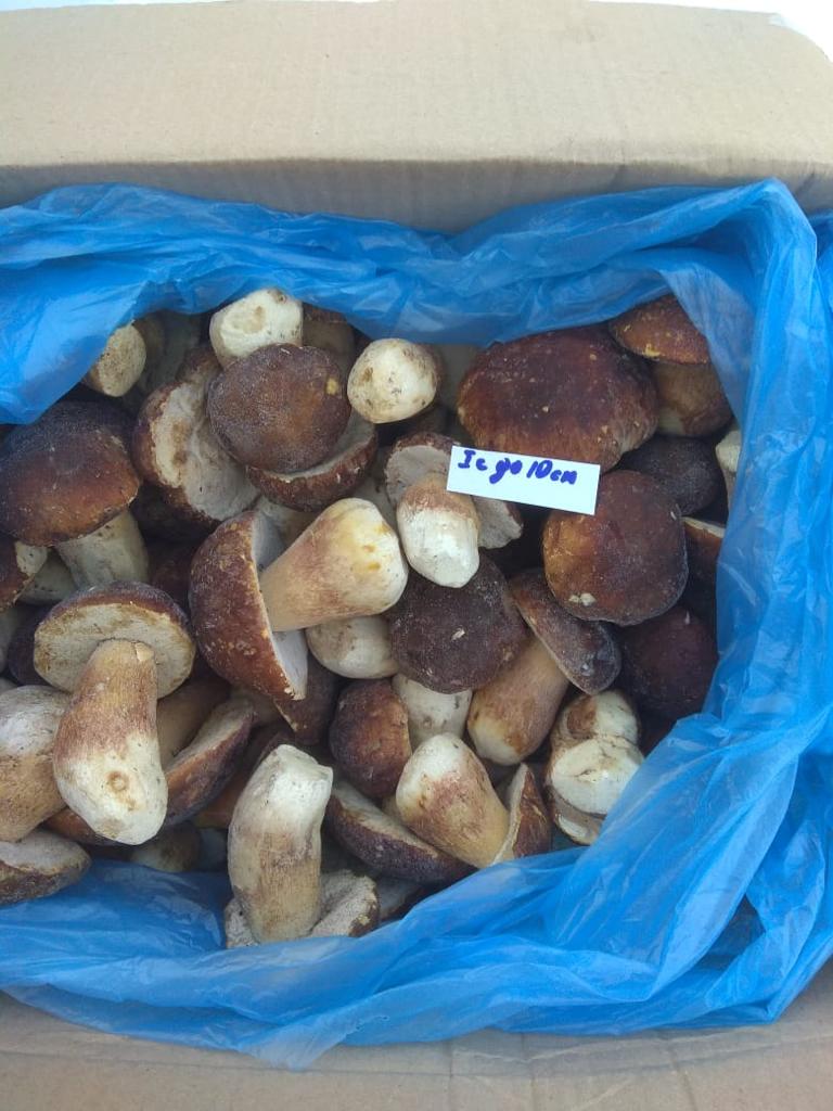 Sprzedam na warunkach FCA, DAP Extra - 15 euro za kg 1 gatunek - 10 euro za 1 kg