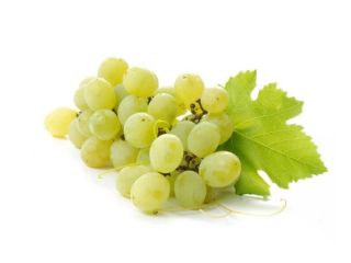 Świeże i pyszne winogrona (zielone)