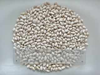 Rozmiar: 450 szt./100 g Wilgotność: 16,2% Czystość: 99,9% Pęknięcie: