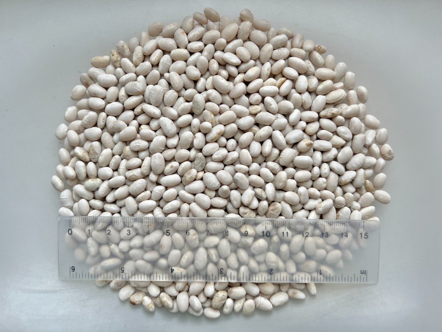 Rozmiar: 450 szt./100 g Wilgotność: 16,2% Czystość: 99,9% Pęknięcie: 0,2% Połamanie: 0,2% Odbarwienie: 0,6% Ziemia przyklejona: 1,2% Lekko spękana powłoka: 1