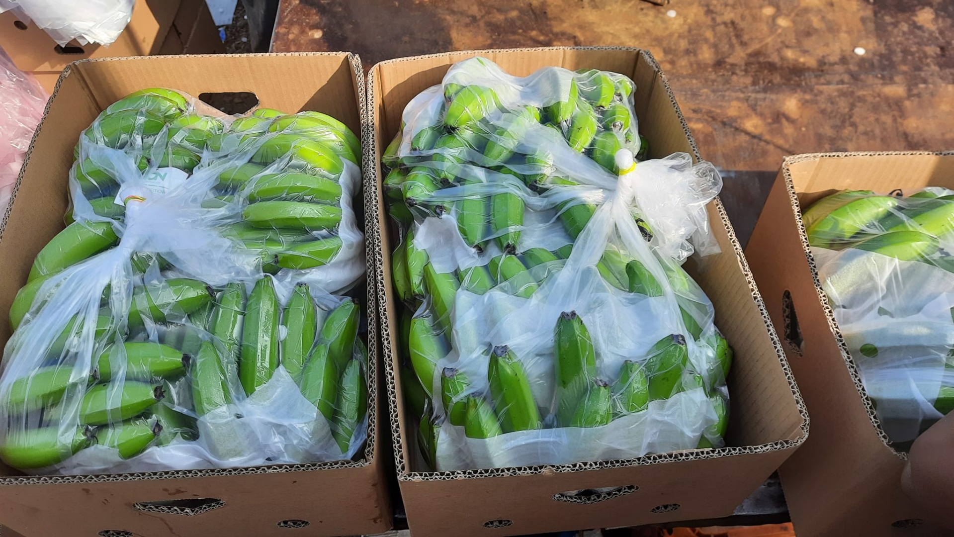 FIRMA PRODUKCYJNA BANANÓW PL EKWADOR POSZUKUJEMY NOWYCH KLIENTÓW DO SPRZEDAŻY NASZEJ PRODUKCJI BANANÓW CAVERNISH PREMIUM W PRZYSTĘPNYCH CENACH 12$ PUDEŁKO 20