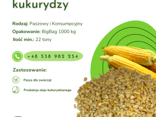 ZARODEK KUKURYDZY Oferujemy w ciągłej sprzedaży zarodek kukurydzy. Produkt